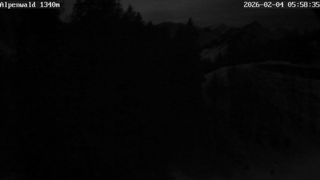 Image: Gasthof Alpenwald